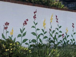 painted and real red and yellow canna lilies mixed together on a white garden wall