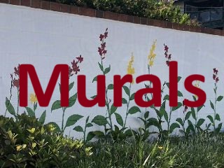 Murals